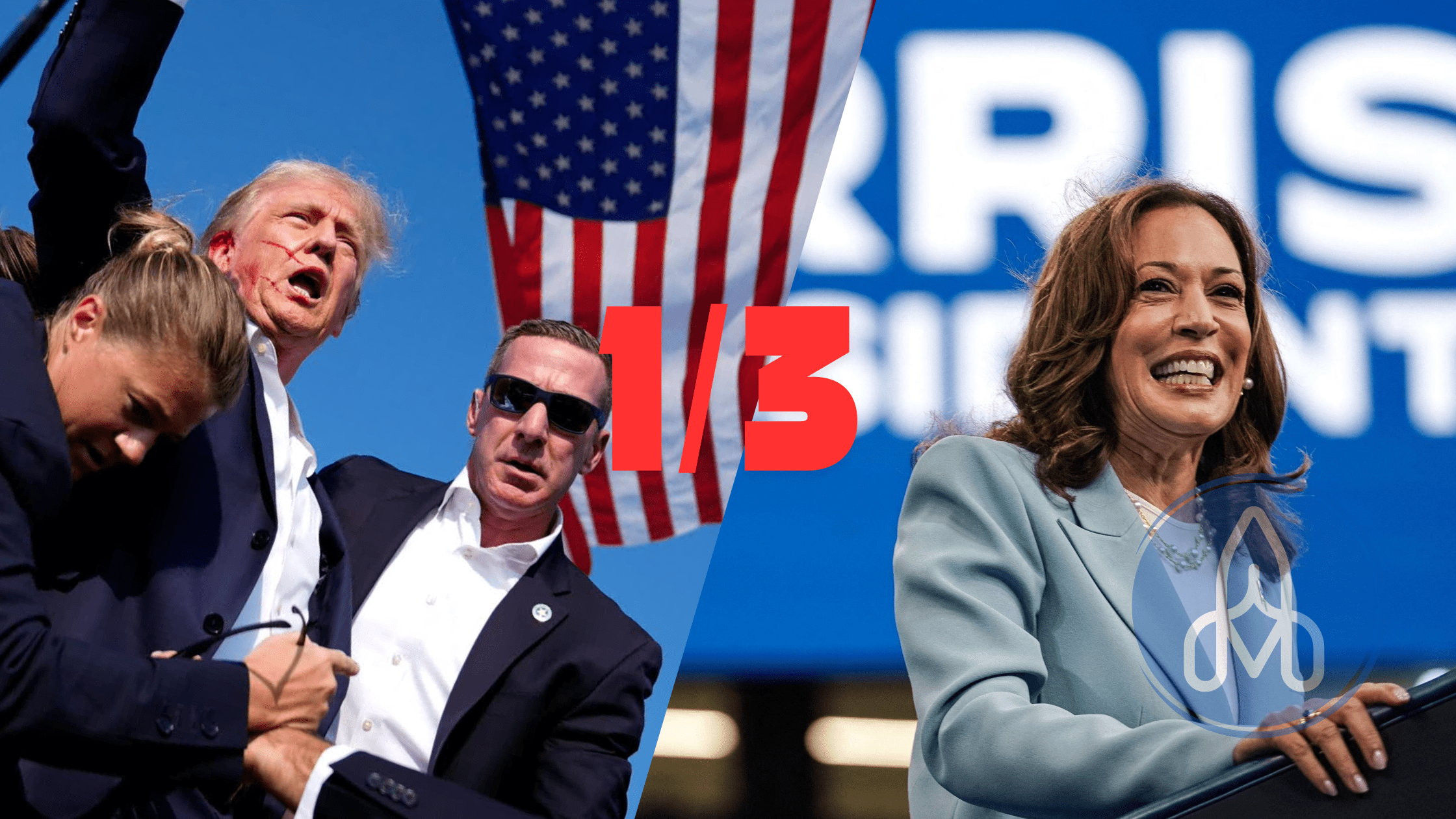 US Election 2024 - Part One: Scenarios and impact